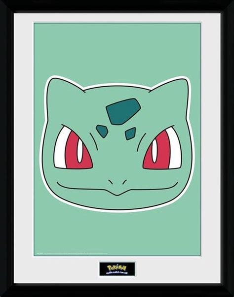 Bulbasaur Face