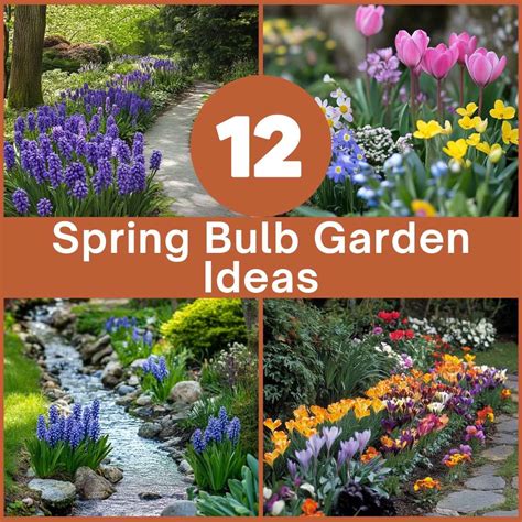 Bulbs Garden Spring