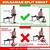 bulgarian split squat target muscles