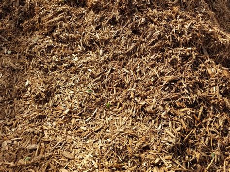Uncover the Secrets of Bulk Mulch: Your Guide to a Thriving Landscape