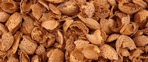 Bulk Almond Hulls