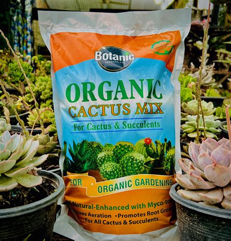 Bulk Cactus Soil