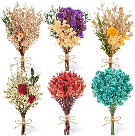 Bulk Dried Flowers With Stems