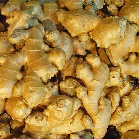 bulk ginger root