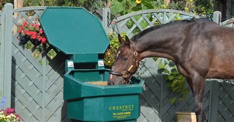 Bulk Horse Feed Wholesale