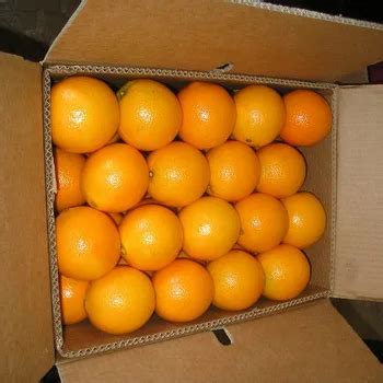 bulk oranges near me