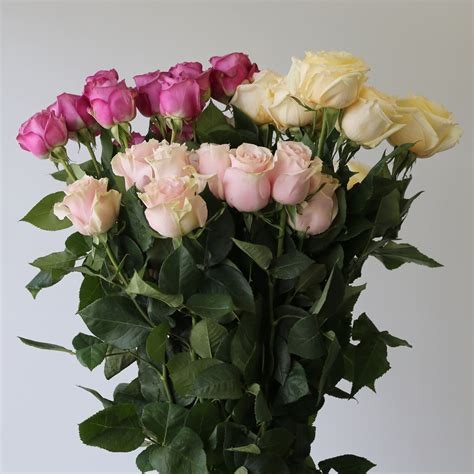 Bulk Roses Order