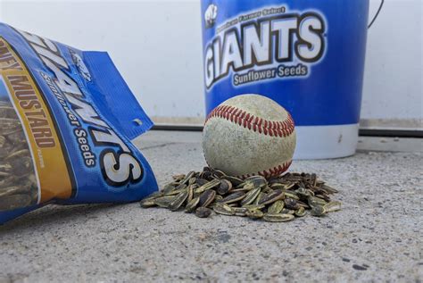 Bulk Sunflower Seeds Baseball