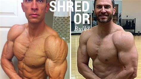 Bulk Vs Shred Deutsch