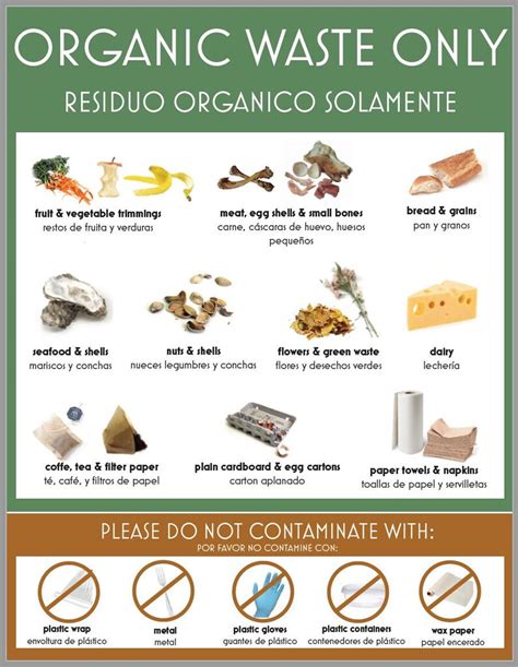 Bulk Waste In Spanish