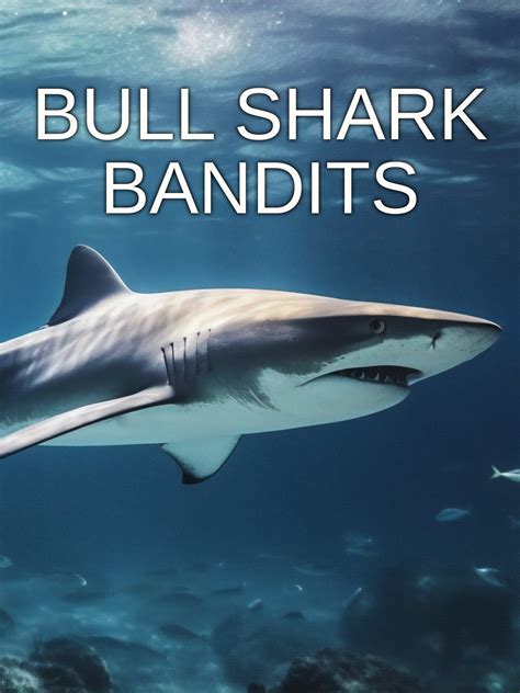 bull shark bandits 2023