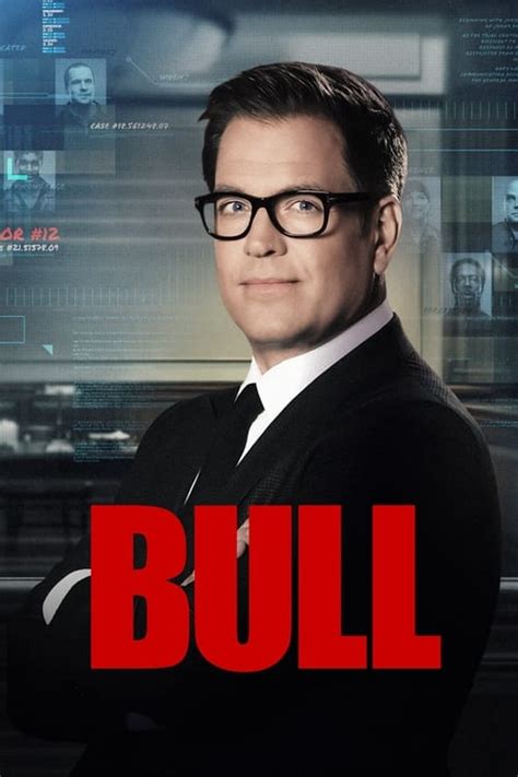 bull tv show on netflix