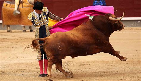 bullfighting rules in spain