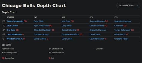 bulls depth chart 2020