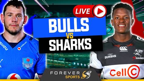 bulls vs sharks live stream