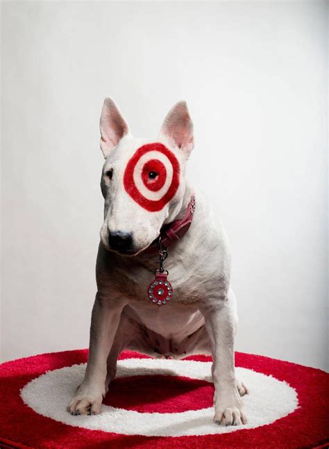 bullseye the target dog