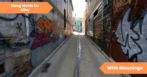Bully in the Alley YouTube