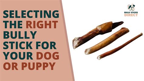 Bully Stick For Puppy