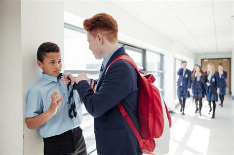 bullying in the school