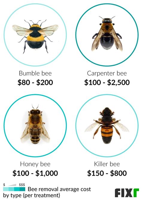 bumble bee exterminator cost