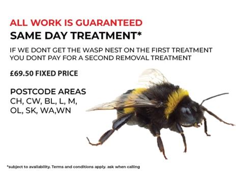 bumble bee removal treatment