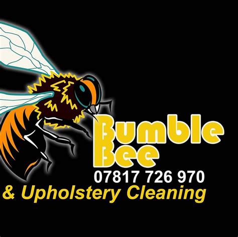 Bumblebee Carpet Cleaning