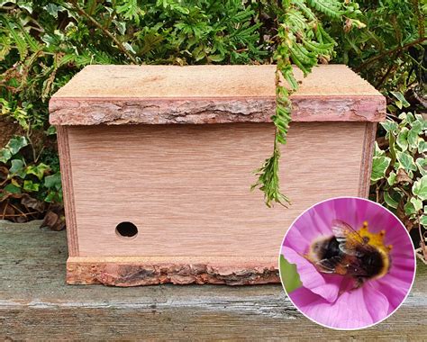 bumblebee nest box