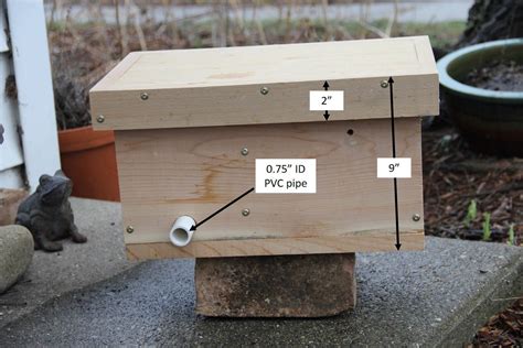 bumblebee nest box plans