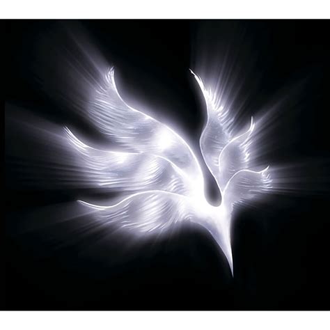 bump of chicken orbital period