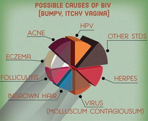 Understanding and Addressing a Bump on Labia: A Guide