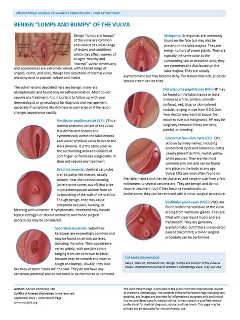 Understanding Bumps on Labia: Causes, Symptoms, and Treatment Options