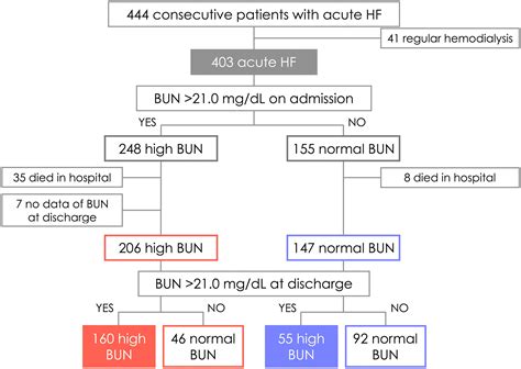 Unlocking the Secret: Achieving a Bun Level High Naturally