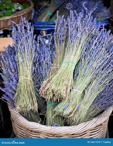 bunches of lavender for sale