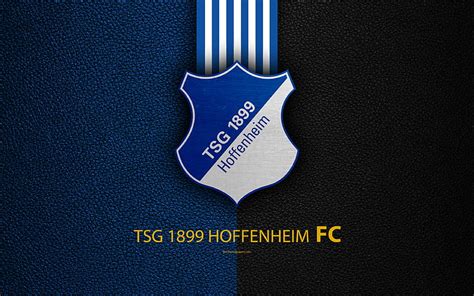 bundesliga tsg 1899 hoffenheim soccer