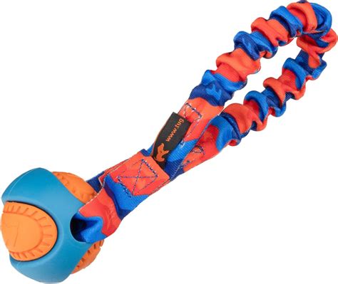 Bungee Dog Toy