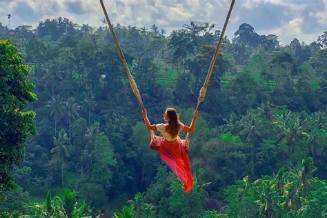 bungee swing over jungle