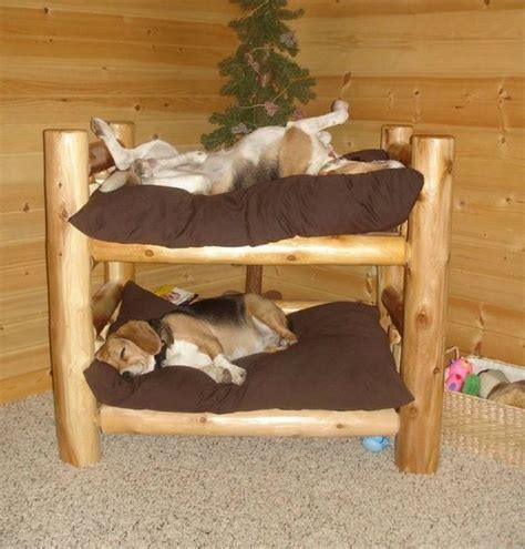 Bunk Bed For Your Pets