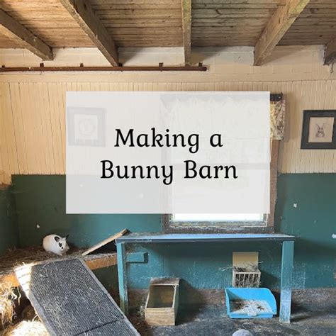 Bunny Barn Ideas