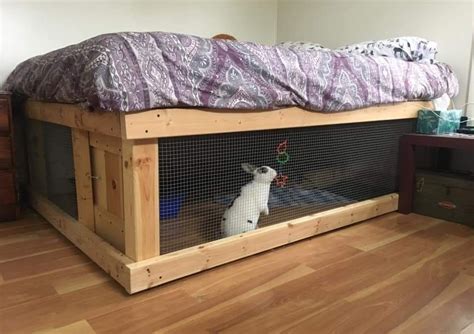 Bunny Cage Bedding Ideas