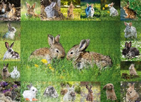 A collage showcasing various types of printable bunny puzzles, including mazes, crosswords, and connect-the-dots.