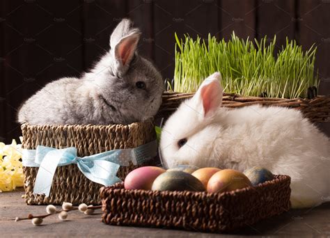 bunny rabbit easter egg
