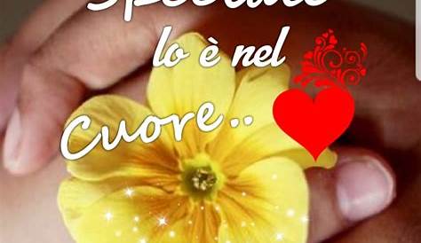 Immagini Buongiorno amore - FotoWhatsapp.it Good Morning Images Flowers