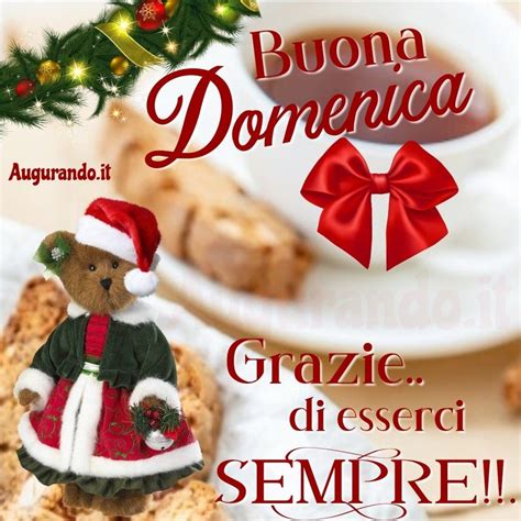 buongiorno e buona domenica 17 dicembre