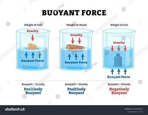 Buoyant Force Vs Normal Force