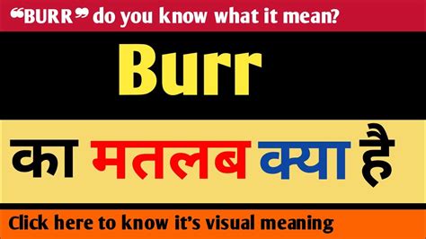 bur meaning in hindi