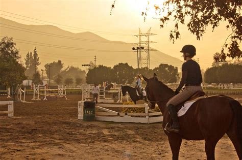 Burbank Equestrian Center: A Haven For Horse Enthusiasts