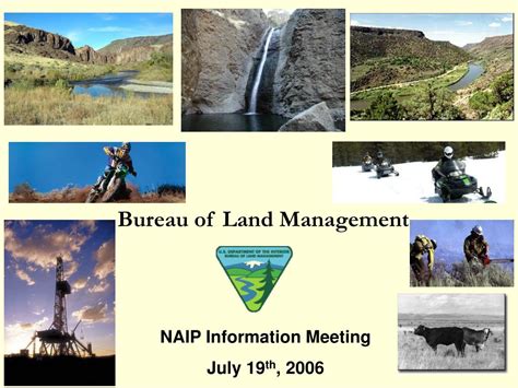 bureau of land management realty