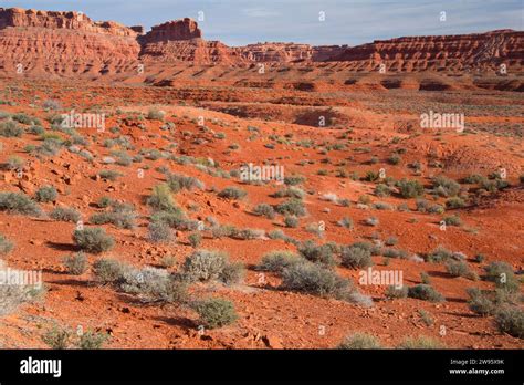 bureau of land management utah office