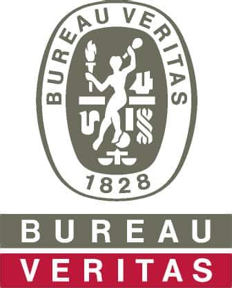 bureau veritas asset integrity