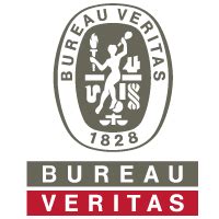 bureau veritas technical assessments llc